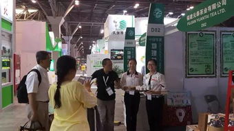 6.18项目展 看点 元泰茶业共赴盛会,成功转型升级