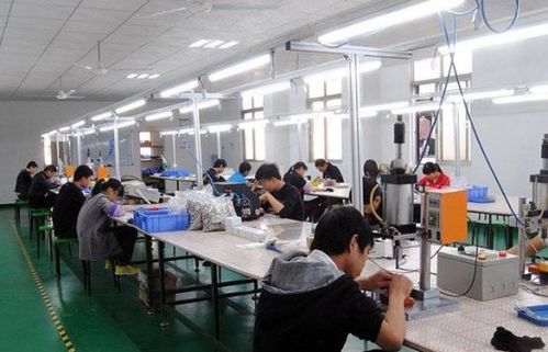 王华的江湖路 从漯河到福州的跌宕人生